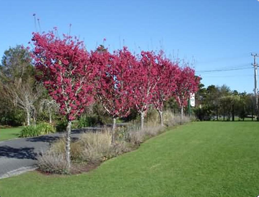 Warkworth Country House المظهر الخارجي الصورة