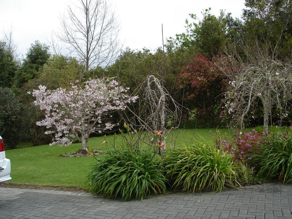 Warkworth Country House المظهر الخارجي الصورة